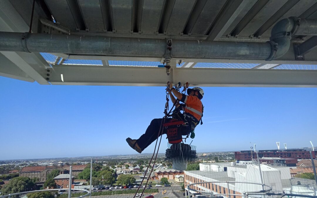 Bird control system installation via Rope Access – Geelong, Vic